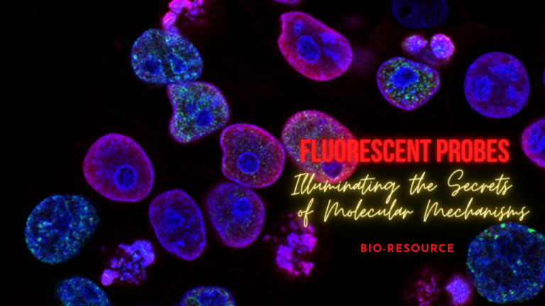 Fluorescent Probes